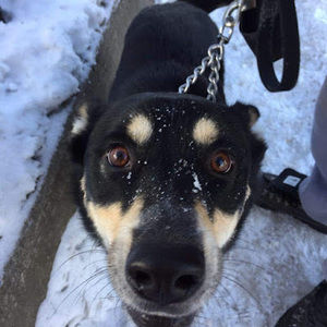 Meet your Posher, Laura-lynn